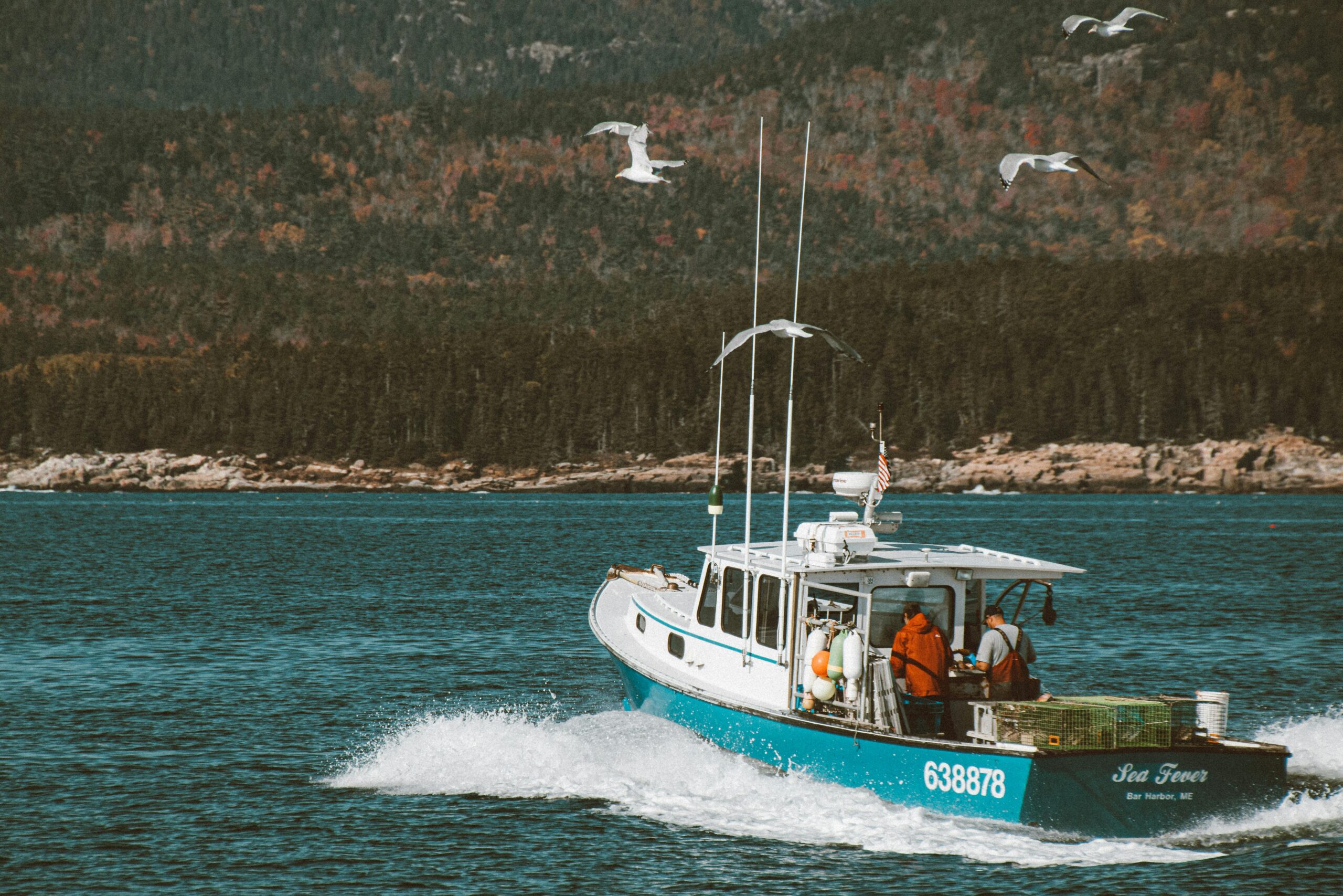 A fishing boat travels along the scenic coastline of Maine with seagulls flying overhead.